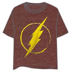 Camiseta Logo Flash DC Comics adulto