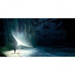 Poster cristal Expecto Patronum Harry Potter