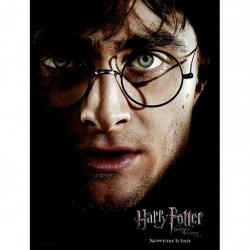 Poster cristal Cara Harry - Harry Potter