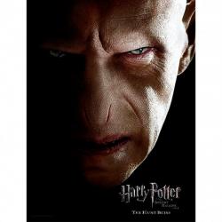 Poster cristal Cara Voldemort Harry Potter