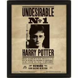 Poster 3D lenticular Harry Potter y Sirius Black Harry Potter - Imagen 1