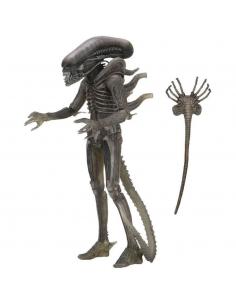 Figura The Alien 40th Anniversary Serie 4 Alien 18cm