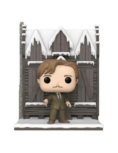 Harry Potter - Chamber of Secrets Anniversary POP! Deluxe Vinyl