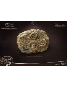 Wonders of the Wild Series Estatua 1/1 Nautilus Miniature Frame & Fossil 15 cm