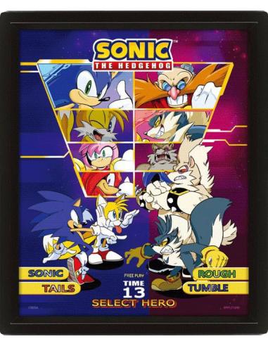 Sonic The Hedgehog Enmarcado Póster Efecto 3D Select Your Fighter 26 x 20 cm