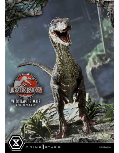 Jurassic Park III Estatua Legacy Museum Collection 1/6 Velociraptor Male 40 cm