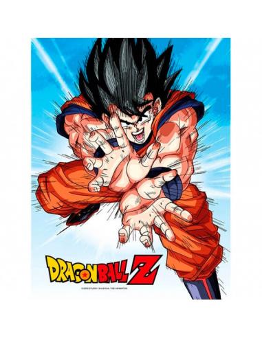 Poster cristal Goku Kame Dragon Ball Z