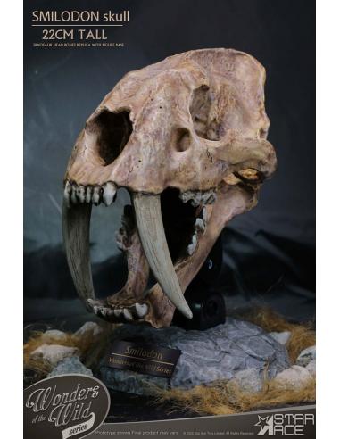 Wonders of the Wild Series Estatua Smilodon Skull Fossil 22 cm