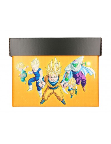 Dragon Ball Z Caja para Comics Characters 40 x 21 x 30 cm