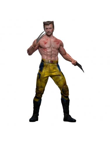 Deadpool & Wolverine Movie Masterpiece Figura 1/6 Wolverine (TVA Jacket Version) 31 cm
