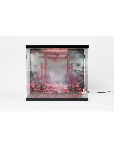 SHINSAI Display Acrílico con Iluminación Inbina Rasethuhime Saki 39 cm