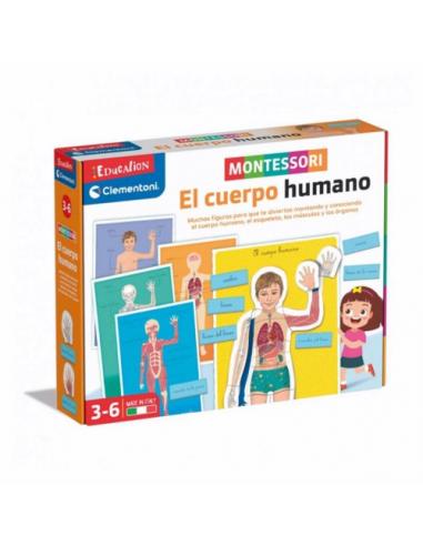 MONTESSORI EL CUERPO HUMANO