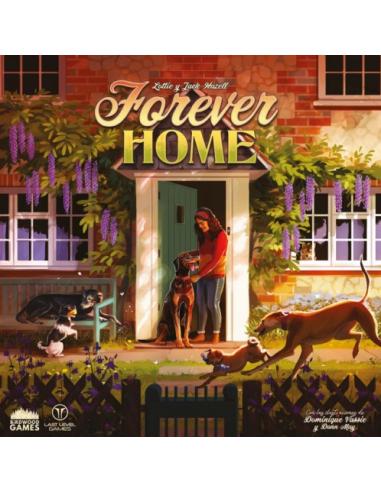 CAJA ST FOREVER HOME (CASTELLANO) (5)