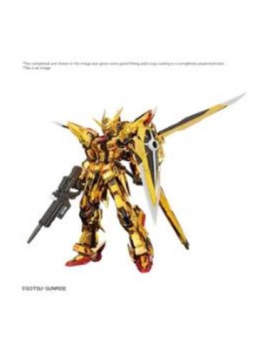 RG 1/144 AKATSUKI GUNDAM OOWASHI UNIT