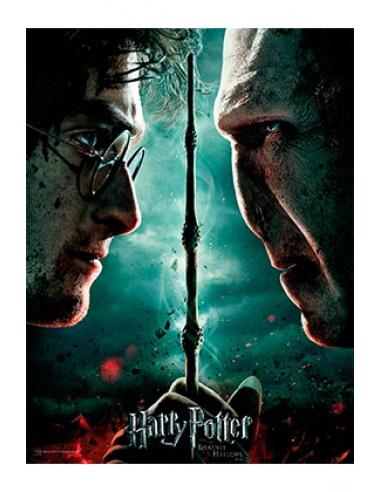 HARRY POTTER Y VOLDEMORT POSTER DE VIDRIO 30x40 HARRY POTTER