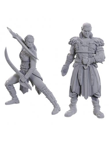 D&D Nolzur's Marvelous Miniatures Miniatura sin pintar Jaheira & Halsin