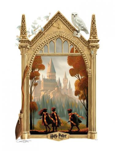 Harry Potter Litografia Harry Potter and the Philosopher's Stone Variant 46 x 61 cm - sin marco