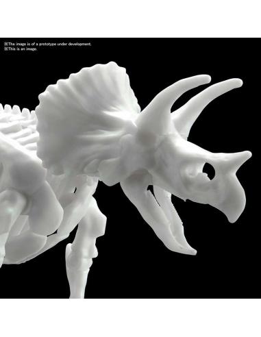 DINOSAUR LIMEX SKELETON TRICERATOPS MK