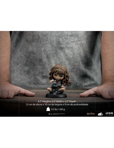 HP HERMIONE POLYJUICE MINICO