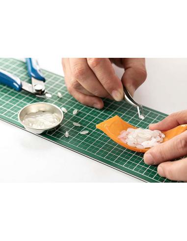 SUSHI SALMON PLASTIC MODEL KIT