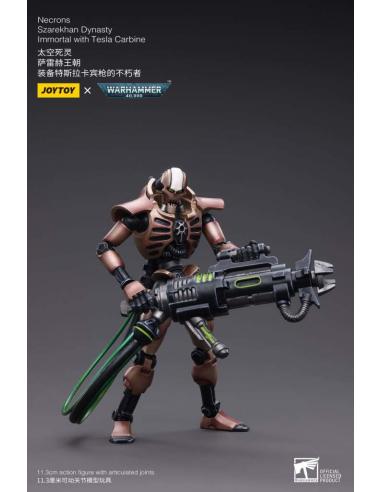 WH40K NECRONS IMMORT WITH TESLA CARBINE