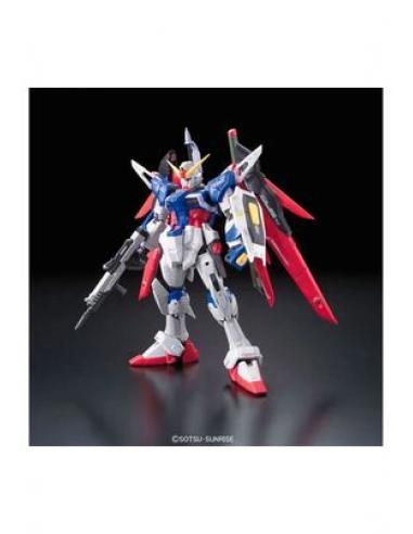 RG 1/144 DESTINY GUNDAM RE-RUN