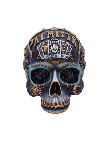 DESTINY PALMISTRY SKULL