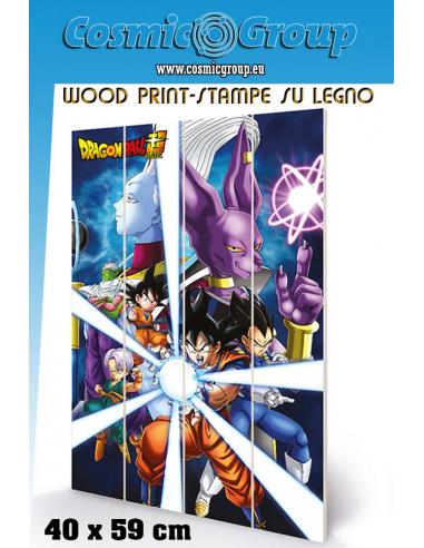 DRAGON BALL GOD DESTRUCTION WOOD PRINT