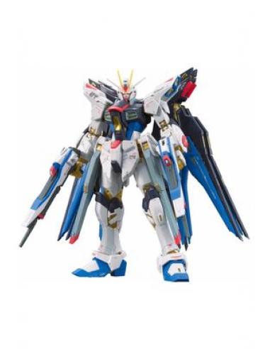 RG 1/144 ZGMF-X20A STRIKE FREEDOM GUNDAM RE-RUN