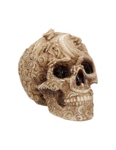 SKULL ORNAMENT CRANIAL DRAKOS