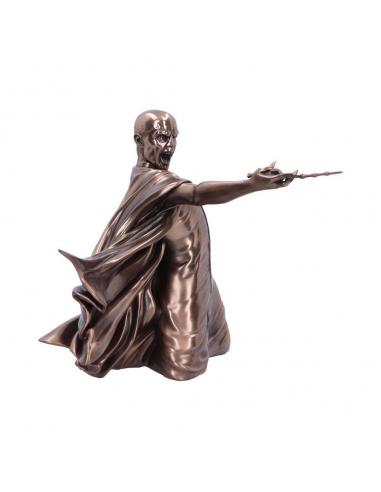 HARRY POTTER VOLDEMORT AVADA KEDAVRA