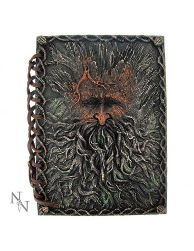 NOTEBOOK RESIN SPIRAL COVER SPIRIT GREEN