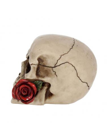 SKULL GOTHIC ROSE FROM THE DEAD
