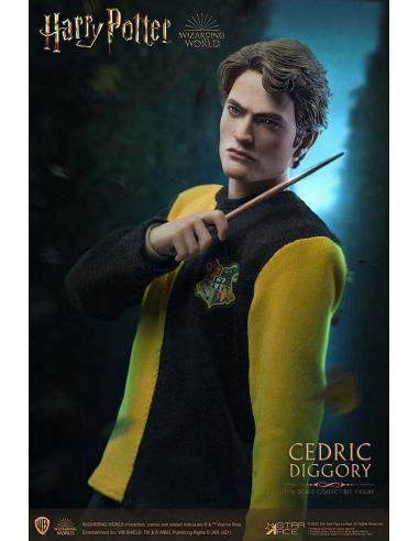 HP CEDRIC DIGGORY 1/6 ACTION FIGURE