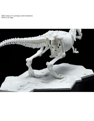 DINOSAUR LIMEX SKELETON TYRANNOSAURUS MK