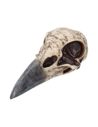 EDGAR A POE RAVEN SKULL