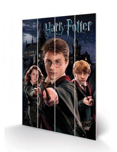 H.POTTER HARRY RON HERMIONE WOOD PRINT