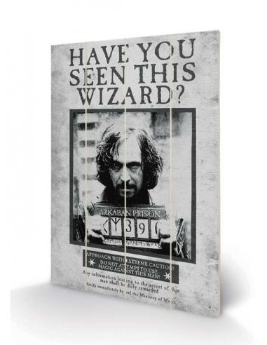 HARRY POTTER SIRIUS WANTED WOOD PRINT