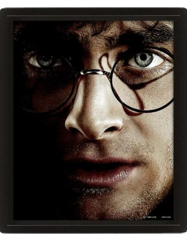 HP - HARRY VS. VOLDEMORT - POSTER 3D