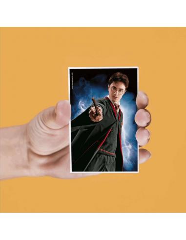 HP 4 LENTICULAR MAGNETS SET