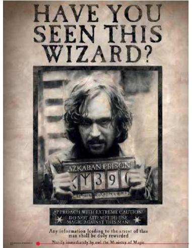 HP HAVE YOU SEEN SIRIUS GLASS POSTER