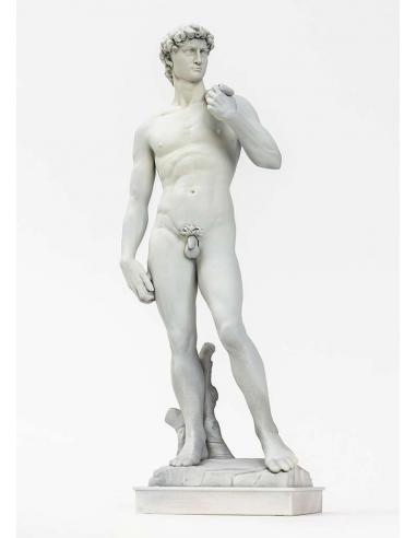 MICHELANGELO DAVID PLASTIC MODEL KIT