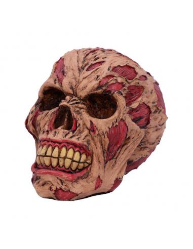 ROTTING ZOMBIE SKULL ORNAMENT 17CM