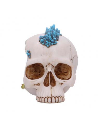 SKULL CRYSTAL CAVE BLUE DRAGON