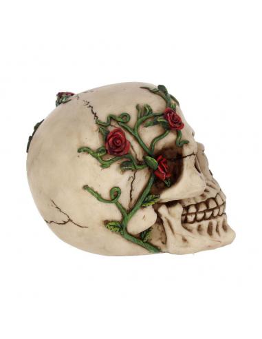 SKULL GOTHIC ROSE FROM BEYOND