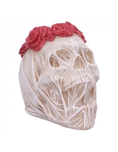 SKULL THE VEIL LARGE