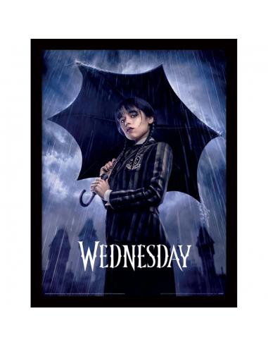 WEDNESDAY DOWNPOUR COLLECTOR PRINT