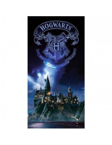 SD TOYS Poster cristal Hogwarts Harry Potter