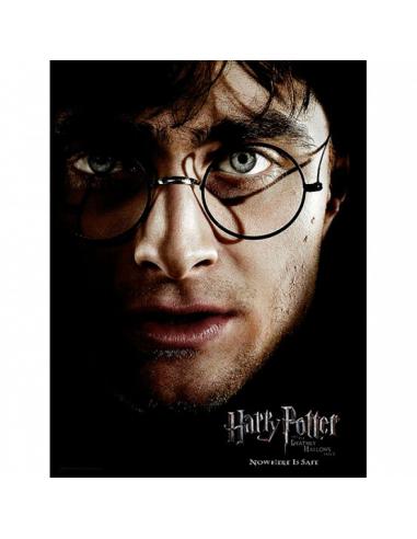 SD TOYS Poster cristal Harry Potter