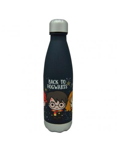 WARNER BROS. DISCOVERY Botella Back to Hogwarts Harry Potter 650ml